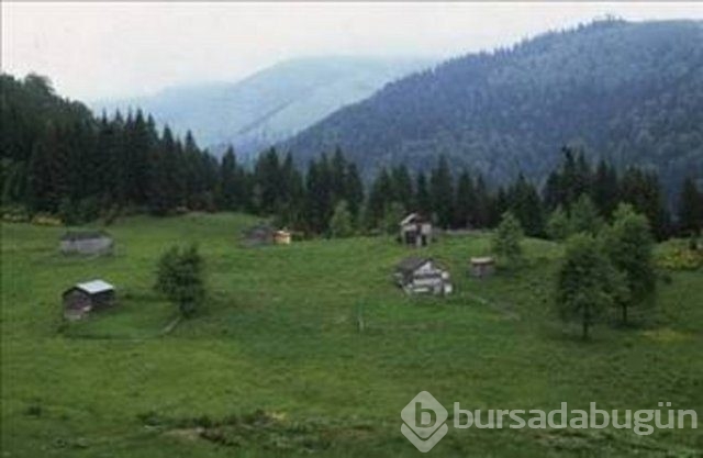 Şehirler isimlerini nereden alıyor?

