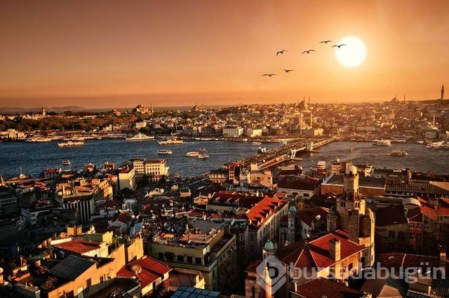 Dünya'nın en popüler 50 şehri	
