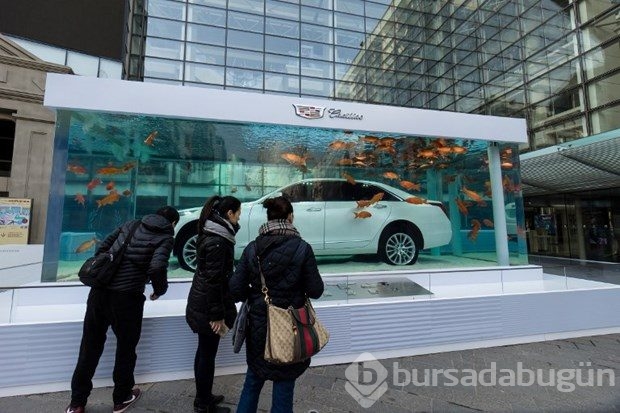 Akvaryumda lüks otomobilli tanıtım