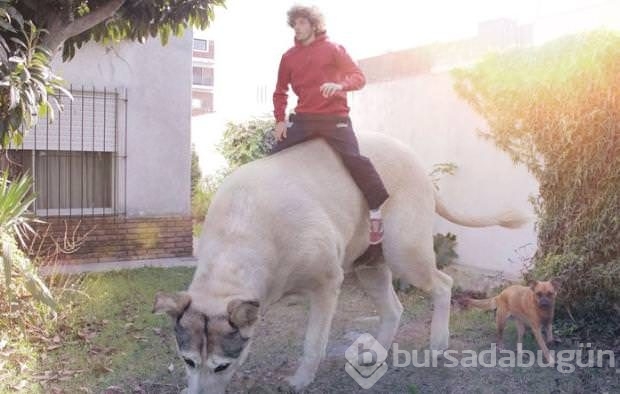 O bir fotoğraf sihirbazı
