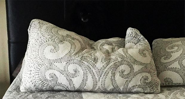 Sosyal medya kayıp köpeğini arıyor