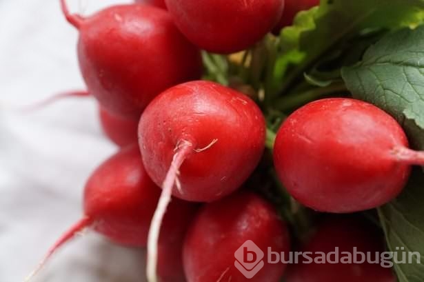 Turp nasıl tüketilmeli? Turp nelere iyi gelir?	
