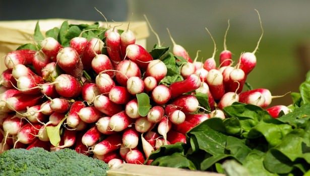 Turp nasıl tüketilmeli? Turp nelere iyi gelir?	
