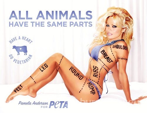 Pamela Anderson hayır için soyundu
