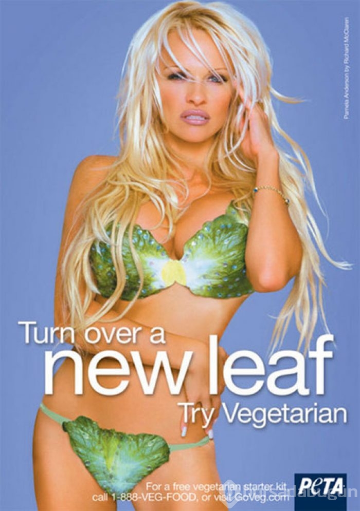 Pamela Anderson hayır için soyundu
