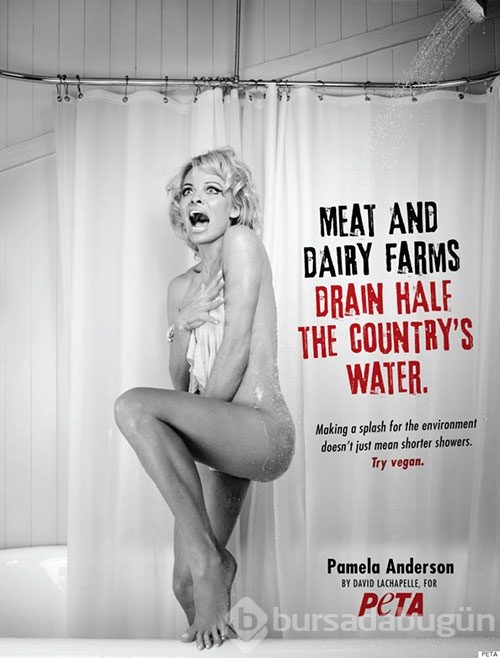 Pamela Anderson hayır için soyundu
