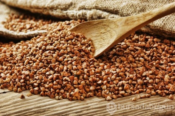 En iyi bitkisel protein kaynakları