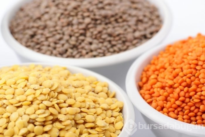 En iyi bitkisel protein kaynakları