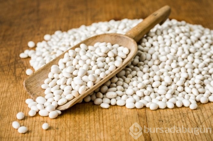 En iyi bitkisel protein kaynakları