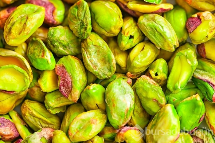 En iyi bitkisel protein kaynakları