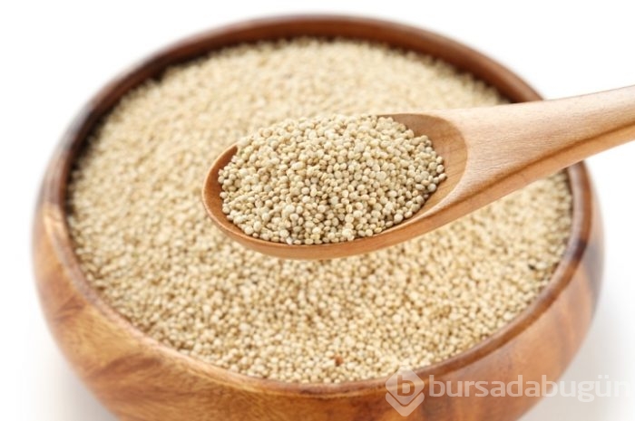 En iyi bitkisel protein kaynakları