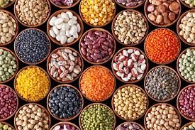 En iyi bitkisel protein kaynakları