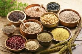 En iyi bitkisel protein kaynakları