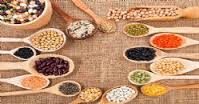 En iyi bitkisel protein kaynakları