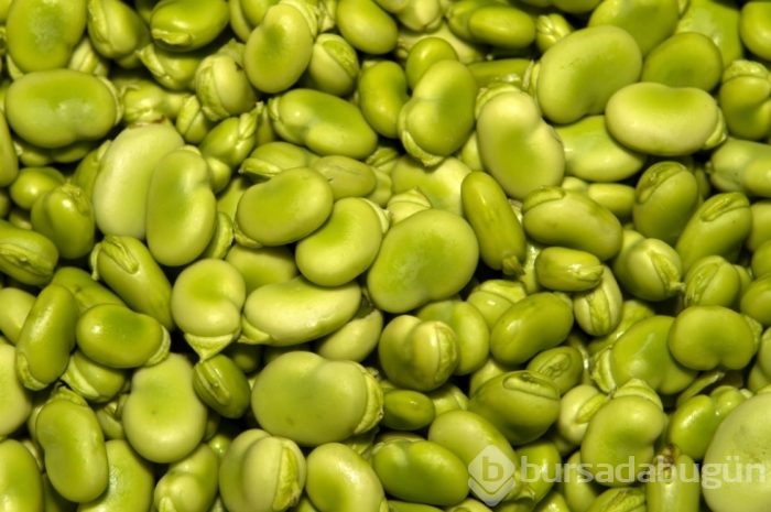 En iyi bitkisel protein kaynakları