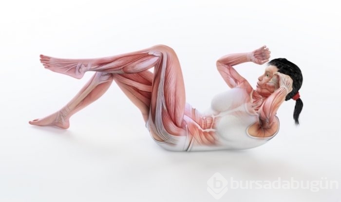 Karın kasları için mekik yerine plank yapın!