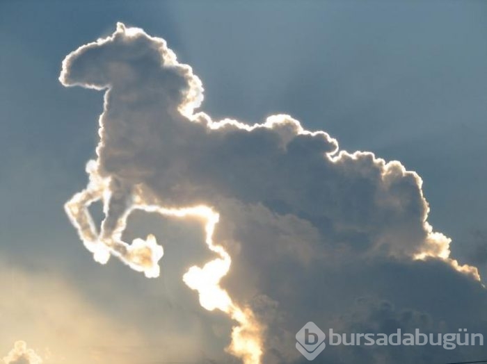 Bulutları neden bir şekile benzetiyoruz? İşte nedeni...