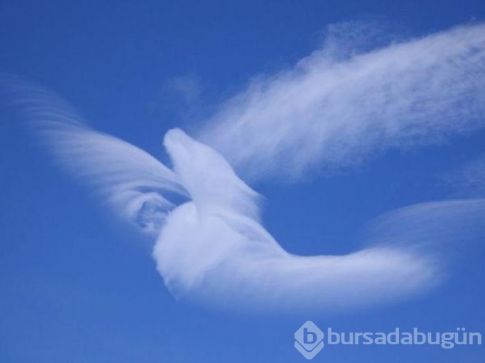 Bulutları neden bir şekile benzetiyoruz? İşte nedeni...
