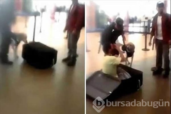 Kaçakçıların yöntemlerine akıl sır ermiyor