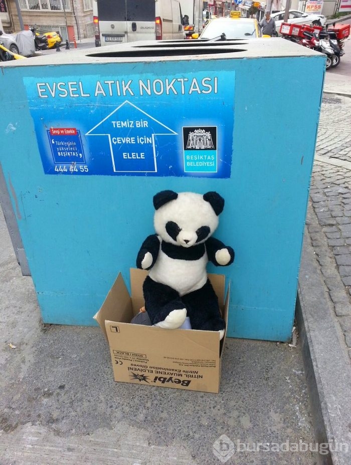 Tek bir fotoğrafla anlatınca...
