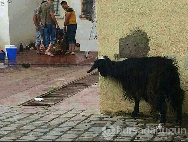 Tek bir fotoğrafla anlatınca...