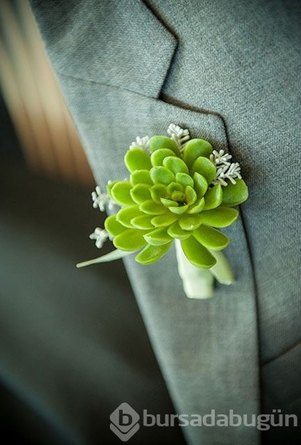 Son trend damat çiçekleri büyülüyor!
