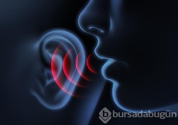 En çabuk yaşlanan 5 organ