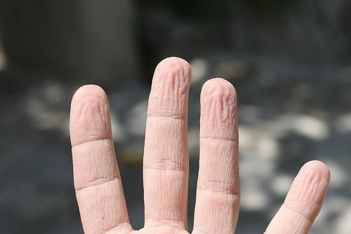 Dünyanın en merak edilen soruları!