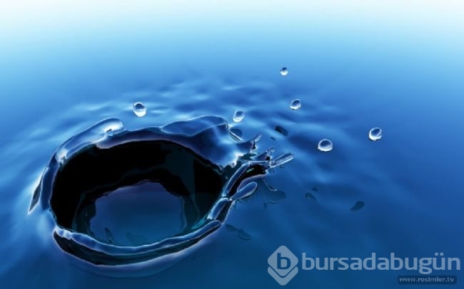 Dünyanın en merak edilen soruları!