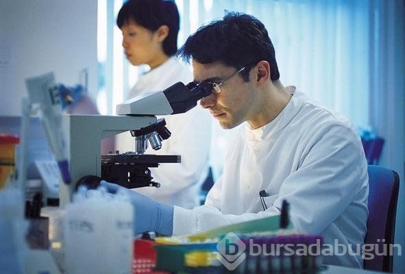 Dünyanın en merak edilen soruları!