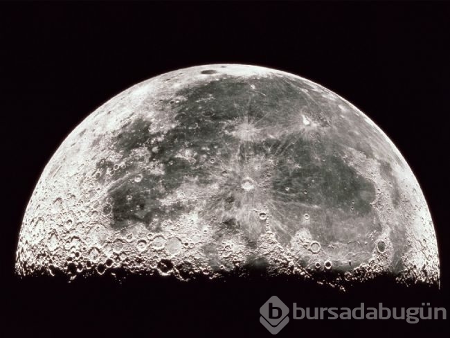 Dünyanın en merak edilen soruları!