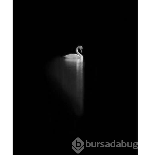 İnstagram'da Ünlüler - 02 Mart 2016