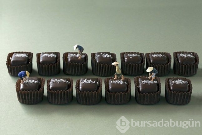 Siz hiç Food Art (Yiyecek Sanatı) gördünüz mü?