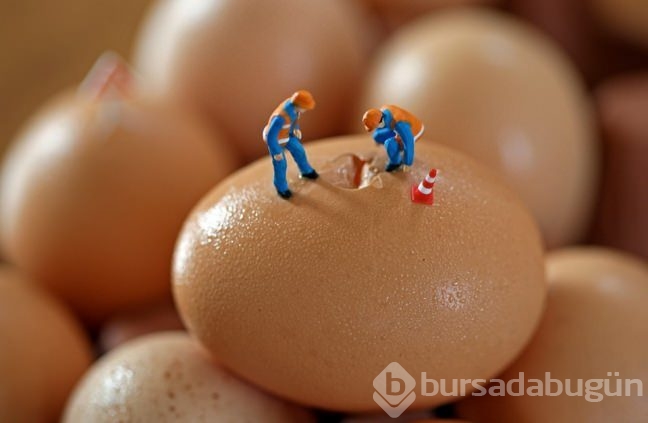 Siz hiç Food Art (Yiyecek Sanatı) gördünüz mü?