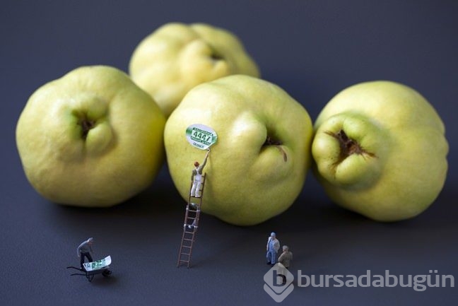 Siz hiç Food Art (Yiyecek Sanatı) gördünüz mü?
