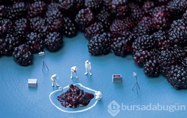 Siz hiç Food Art (Yiyecek Sanatı) gördünüz mü?
