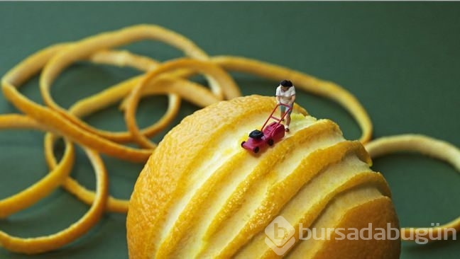 Siz hiç Food Art (Yiyecek Sanatı) gördünüz mü?