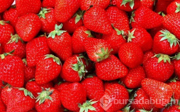 Onlar ömre ömür katıyor