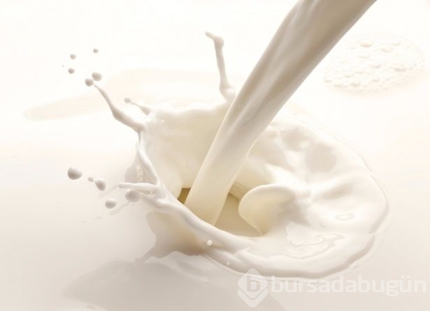Onlar ömre ömür katıyor