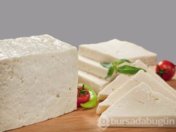 Onlar ömre ömür katıyor