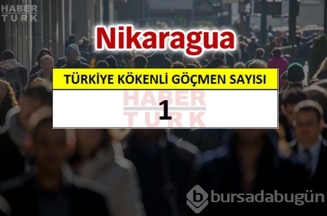 Hangi ülkede kaç Türk yaşıyor?