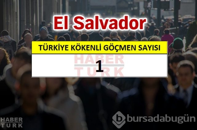 Hangi ülkede kaç Türk yaşıyor?