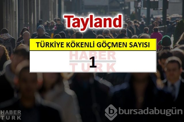 Hangi ülkede kaç Türk yaşıyor?
