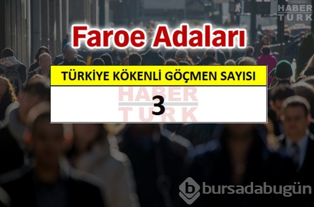 Hangi ülkede kaç Türk yaşıyor?