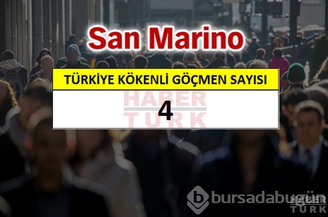 Hangi ülkede kaç Türk yaşıyor?