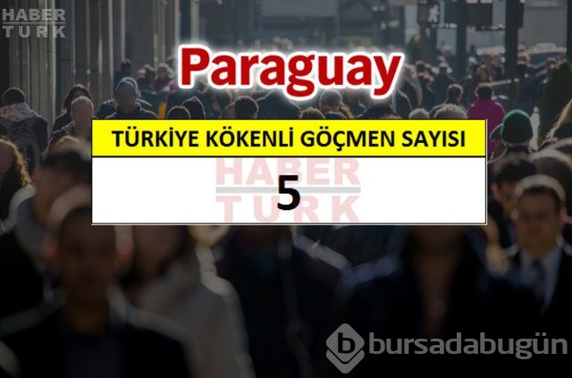 Hangi ülkede kaç Türk yaşıyor?