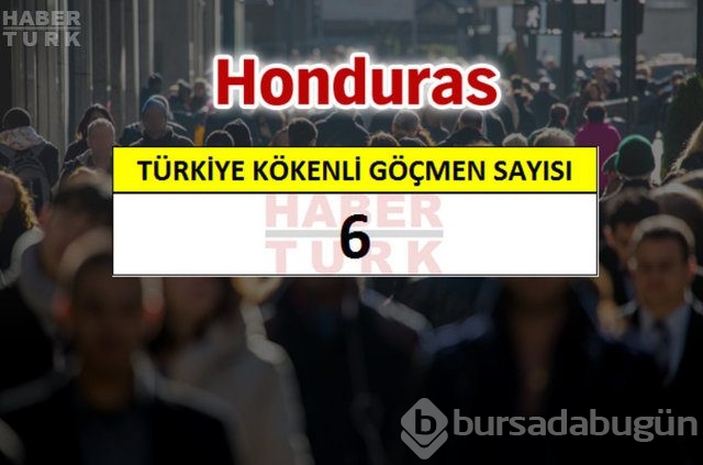 Hangi ülkede kaç Türk yaşıyor?