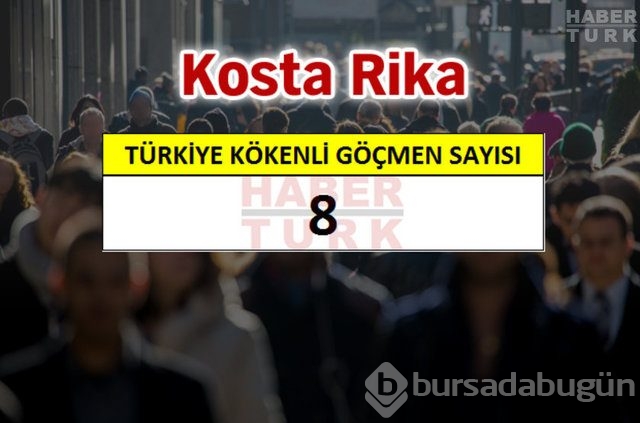 Hangi ülkede kaç Türk yaşıyor?