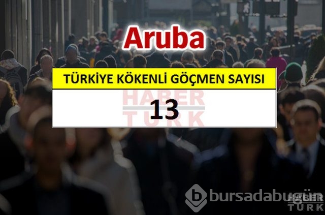 Hangi ülkede kaç Türk yaşıyor?