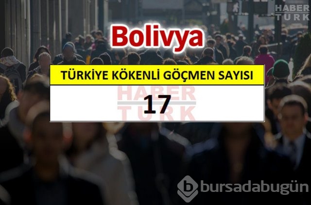 Hangi ülkede kaç Türk yaşıyor?